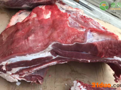 羊肉价格2021年3月份最新报价