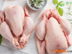 现在鸡肉价格多少钱一斤？后期鸡肉价格还会上涨吗？