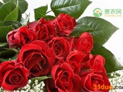 鲜花涨价近4倍是何原因？具体是什么情况？