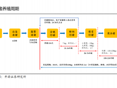 猪周期“V”型反转前 猪企继续承受资金的考验
