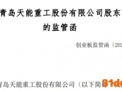 天能重工股东张世启收监管函 减持违反承诺信披违规