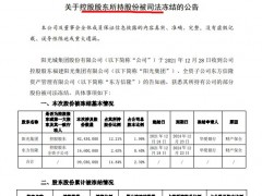 阳光城继第二大股东大比例减持后控股股东9903万股被华夏银行申请财产保全