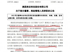 奥园美谷告别房地产管理团队“大换血”：马军退出、胡冉被扶正