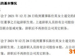 嘉美斯董事长陈仕英辞职 提名余德俐为公司董事