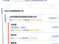 *ST丰华控股股东终迎救星？“济南首富”或主导重整