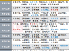 新年首批金股来了：这些票被机构狂推 白酒龙头仍是yyds