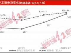 2021年定增市场火爆收官，掌阅科技等趁势“捞金”
