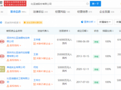 比亚迪回应中标智利锂矿开采：消息属实