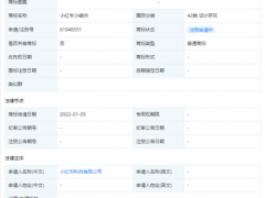 小红书申请“小红书小绿洲”商标