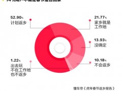 懂车帝：超六成返乡者不考虑自驾新能源车回家