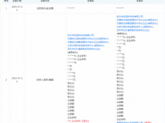 小米投资微纳核芯，后者从事智能物联网AIoT芯片研发