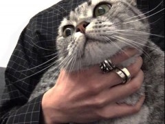 今日趣图：猜猜姚明的口罩是什么码的