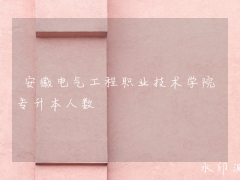 安徽电气工程职业技术学院专升本人数